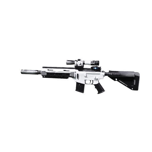 In-game 3D model: DMR